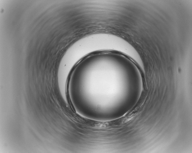 X0000059100080200510101229