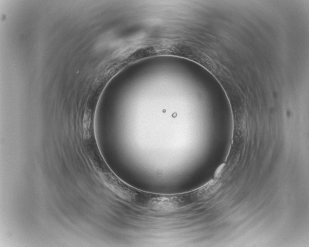 X0000059100082200510101229