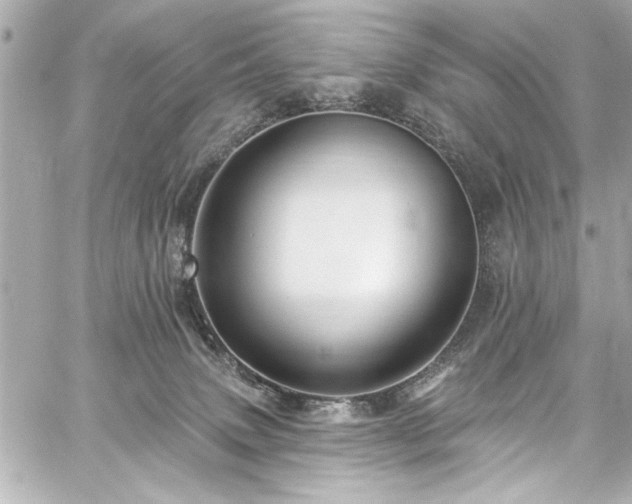 X0000059100083200510101229