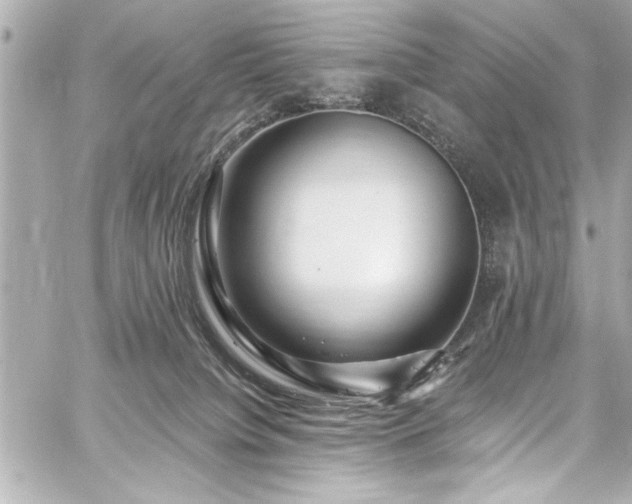 X0000059100084200510101229