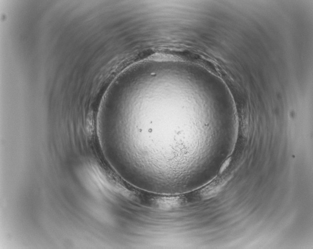 X0000059100085200510101229