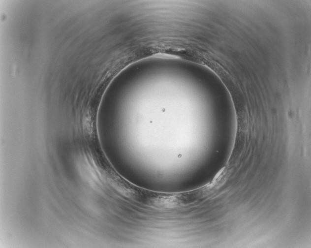 X0000059100086200510101229