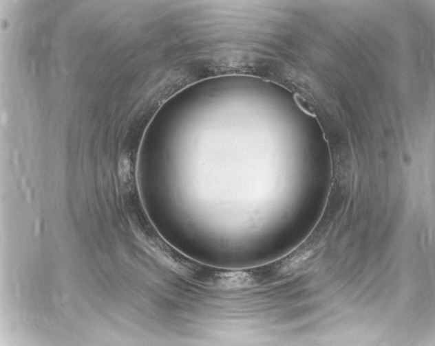 X0000059100087200510101229