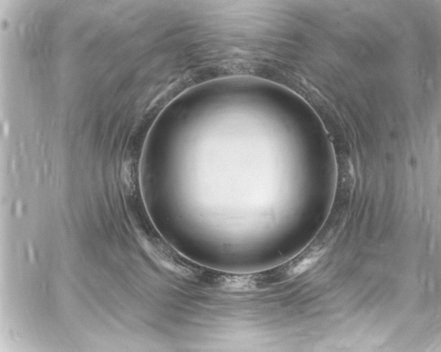 X0000059100088200510101229