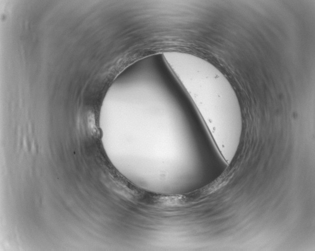 X0000059100089200510101229