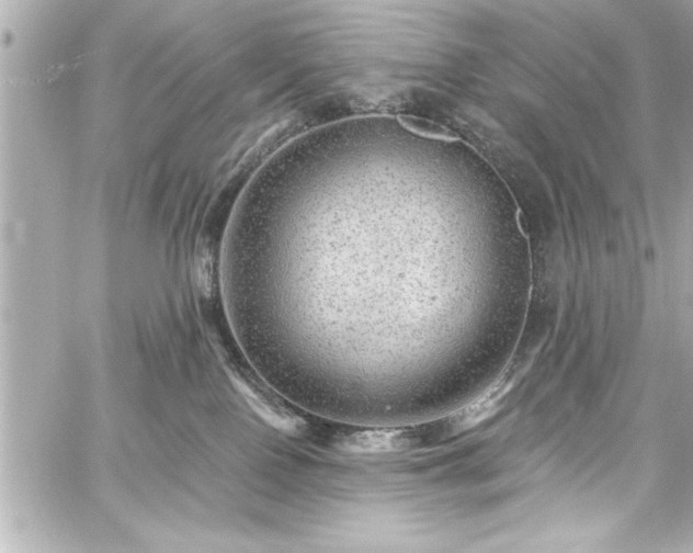 X0000059100090200510101229