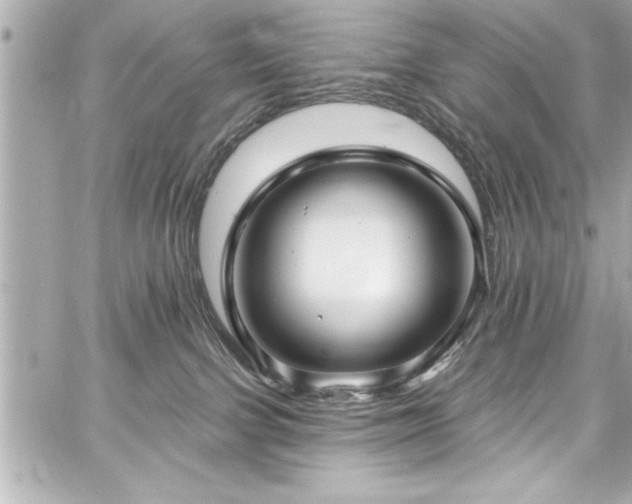 X0000059100091200510101229