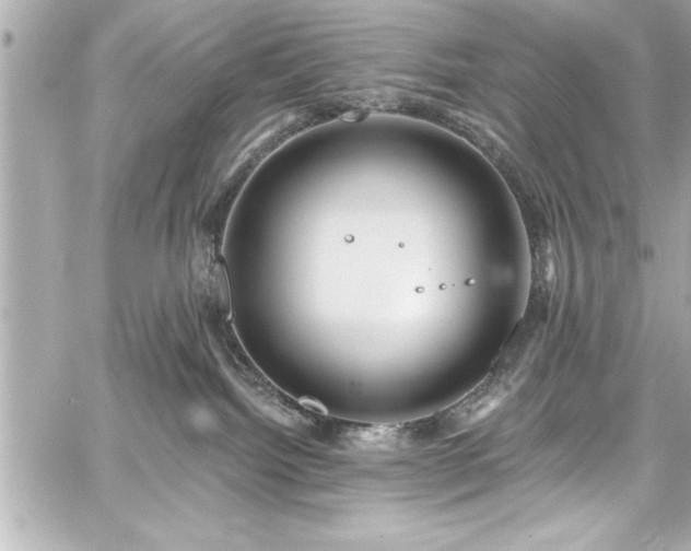 X0000059100092200510101229