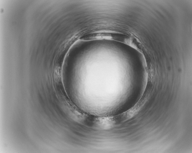 X0000059100093200510101229