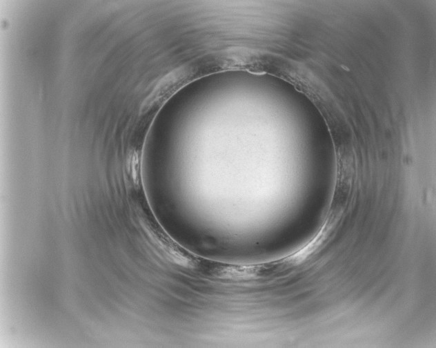 X0000059100094200510101229