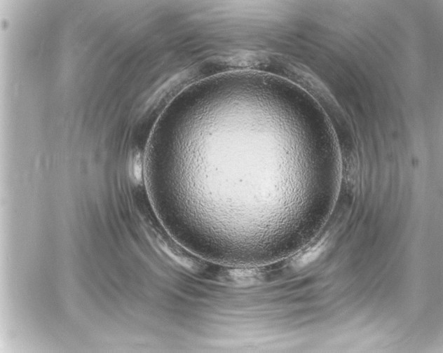 X0000059100095200510101229