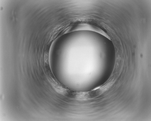 X0000059100096200510101229