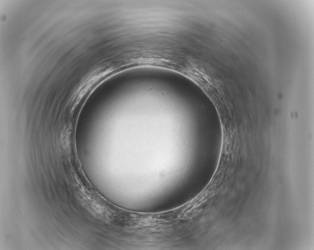 X0000059100098200510101229