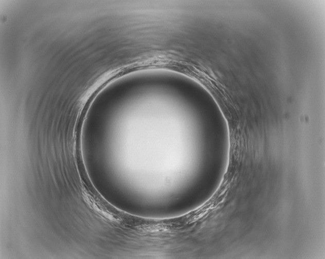 X0000059100100200510101229