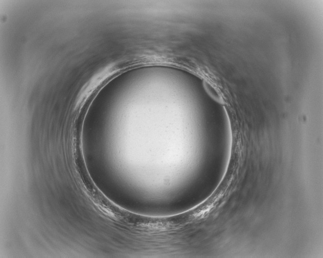 X0000059100103200510101229