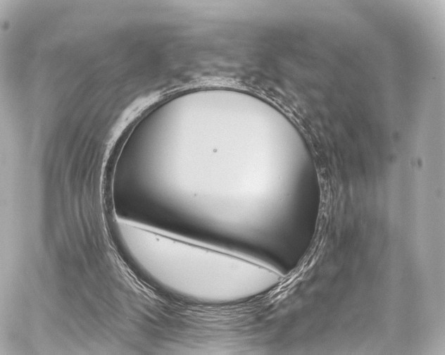 X0000059100104200510101229