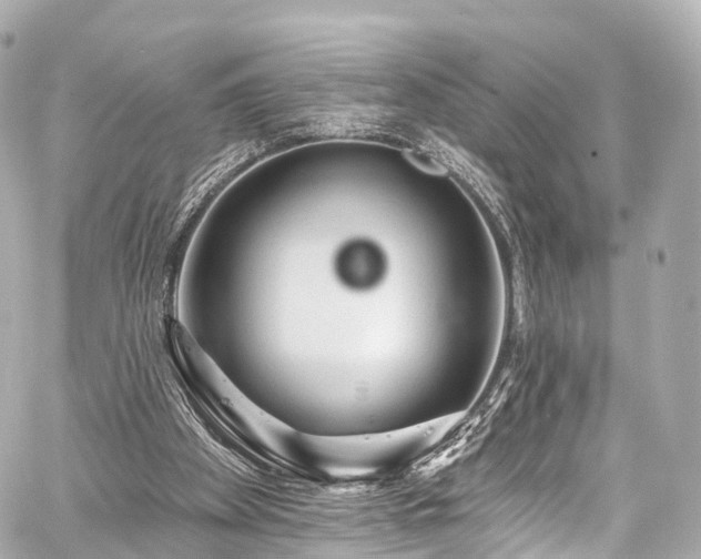 X0000059100105200510101229