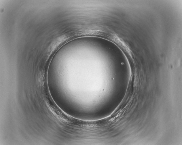 X0000059100107200510101228