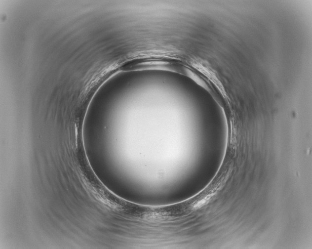 X0000059100109200510101228