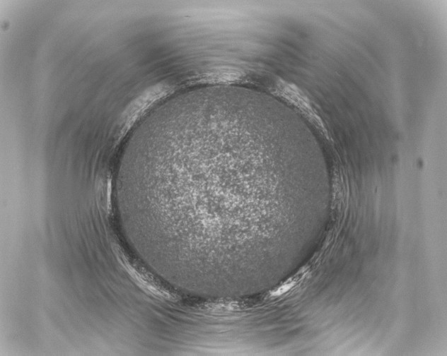 X0000059100110200510101228