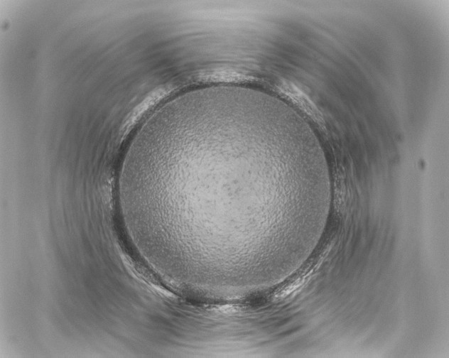 X0000059100111200510101228