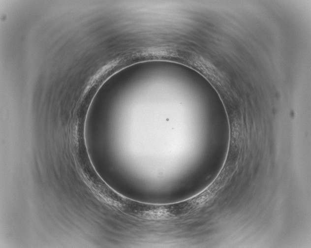 X0000059100112200510101228