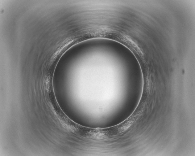 X0000059100113200510101228