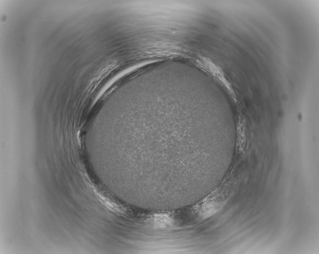 X0000059100114200510101228