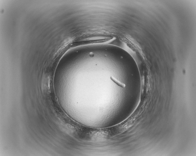 X0000059100115200510101228