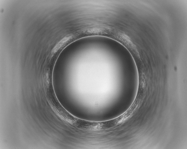 X0000059100116200510101228