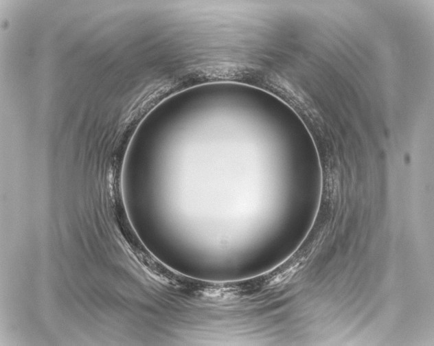 X0000059100117200510101228