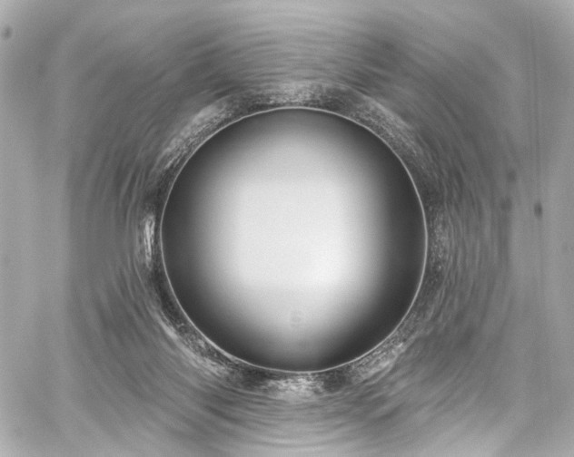 X0000059100118200510101228