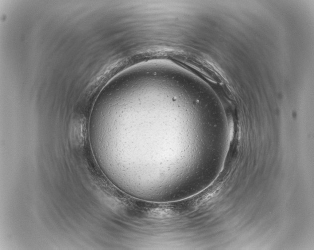 X0000059100119200510101228