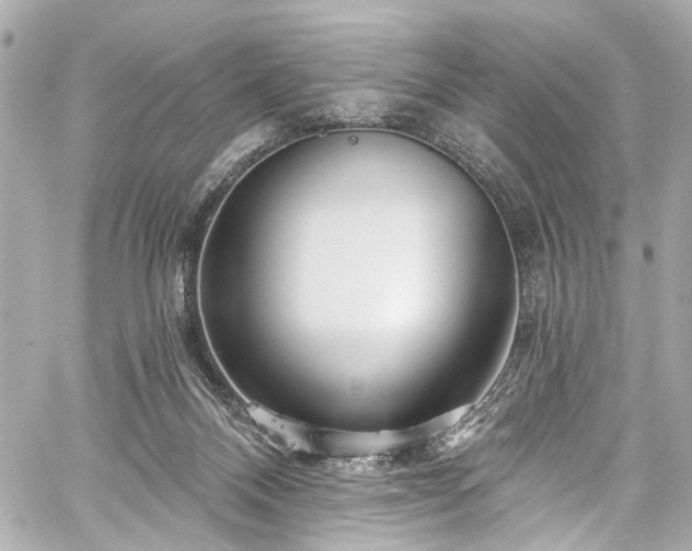 X0000059100120200510101228