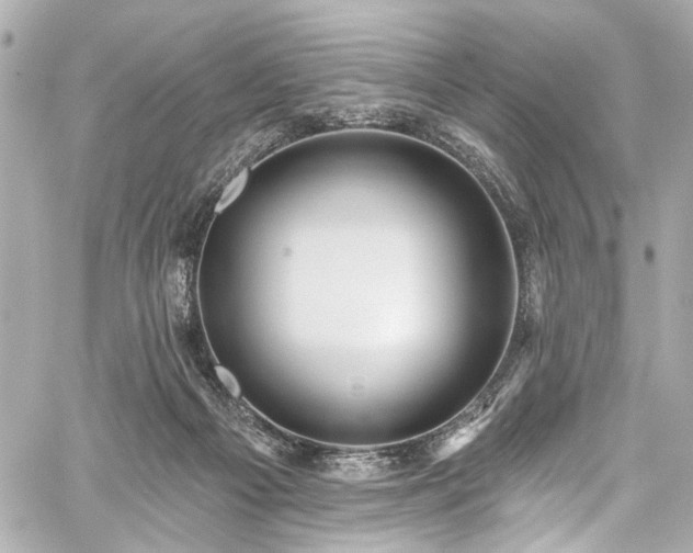 X0000059100121200510101228