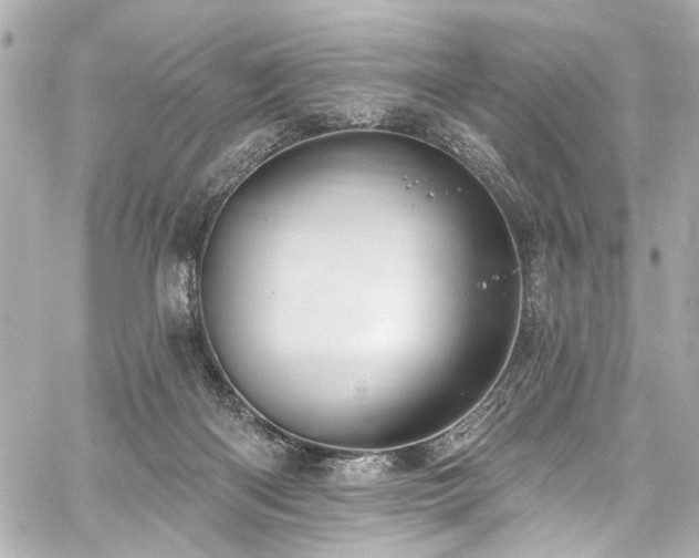 X0000059100122200510101228