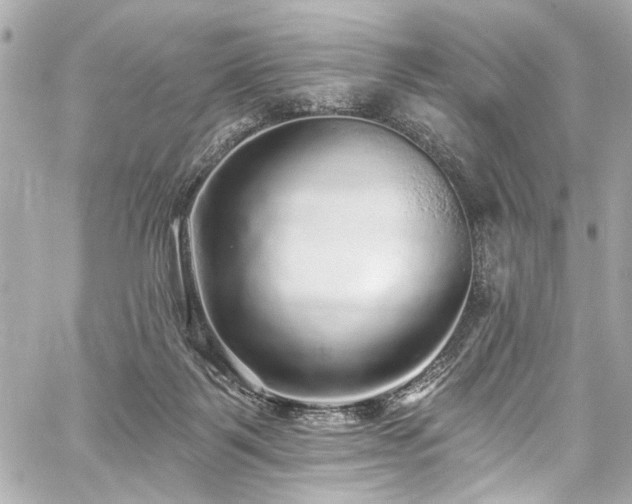 X0000059100123200510101228