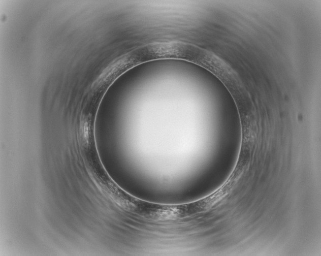 X0000059100124200510101228