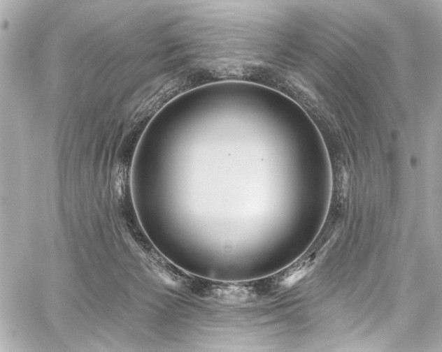 X0000059100125200510101228