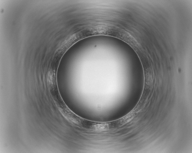 X0000059100126200510101228