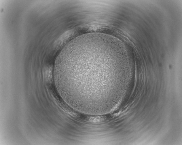 X0000059100127200510101228