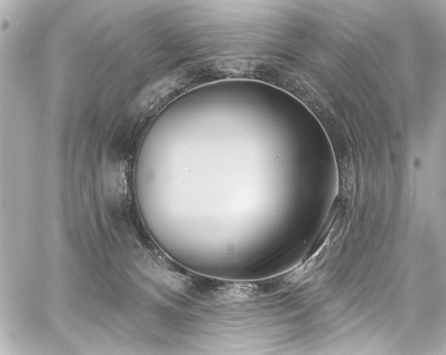 X0000059100128200510101228