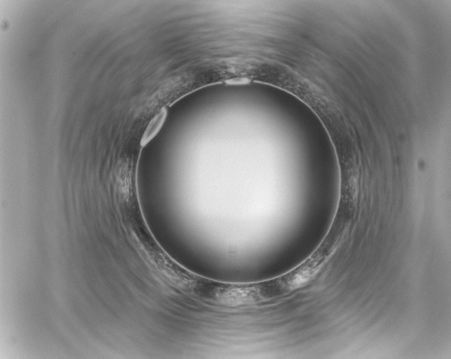 X0000059100129200510101228