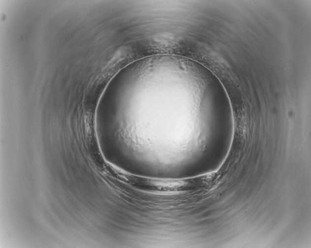 X0000059100131200510101228