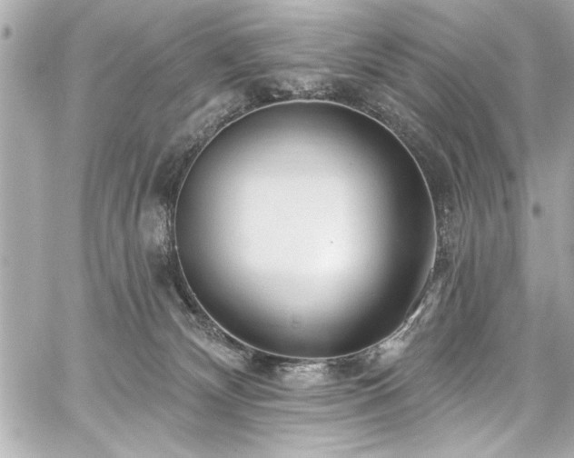 X0000059100132200510101228