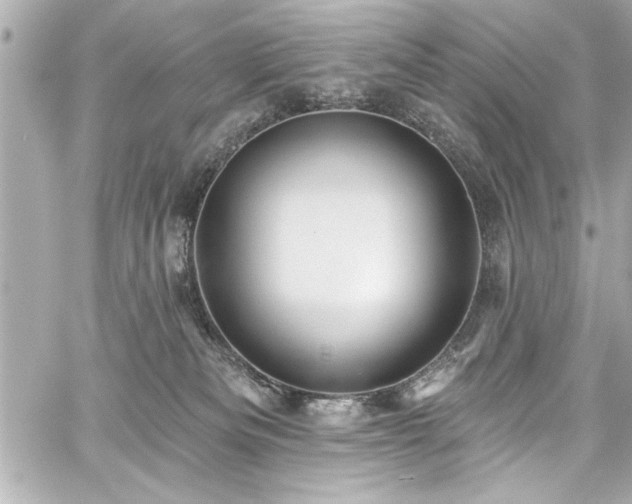 X0000059100133200510101228