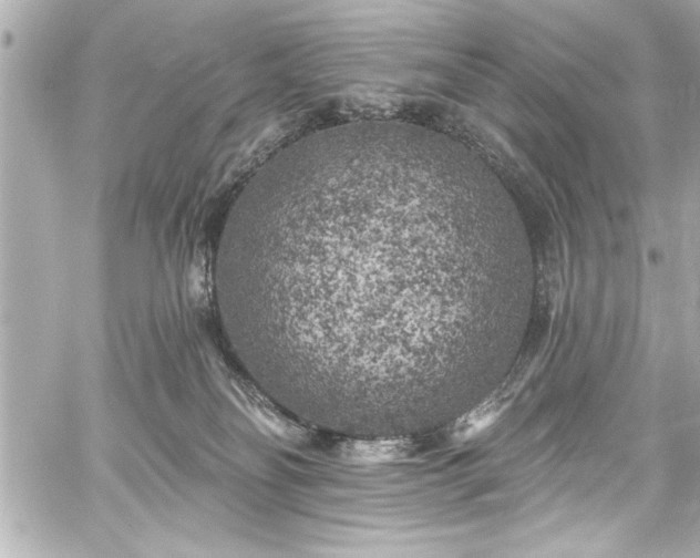 X0000059100134200510101228