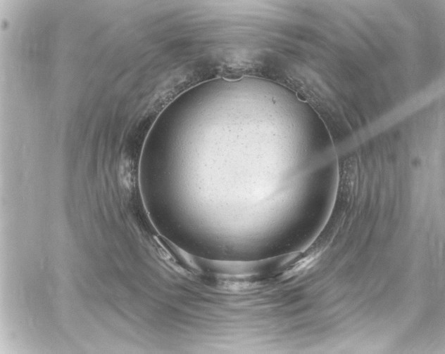 X0000059100135200510101228