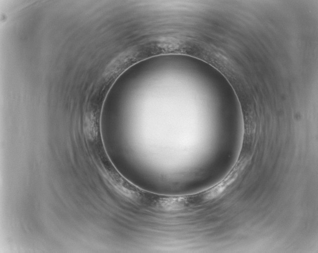 X0000059100136200510101228