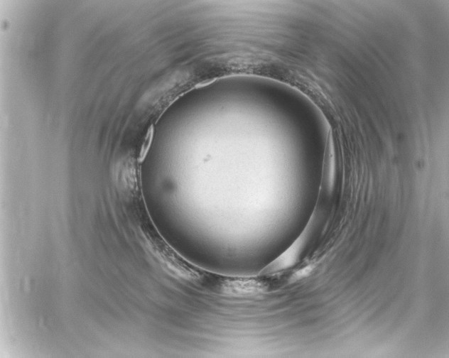 X0000059100137200510101228